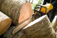 Andrews Tree Service image 1